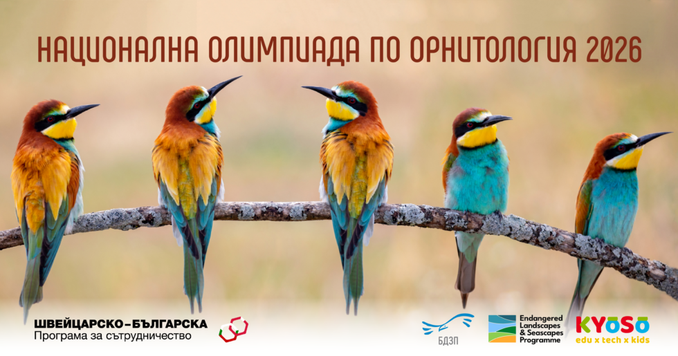 Стартира записването за Националната олимпиада по орнитология 2026
